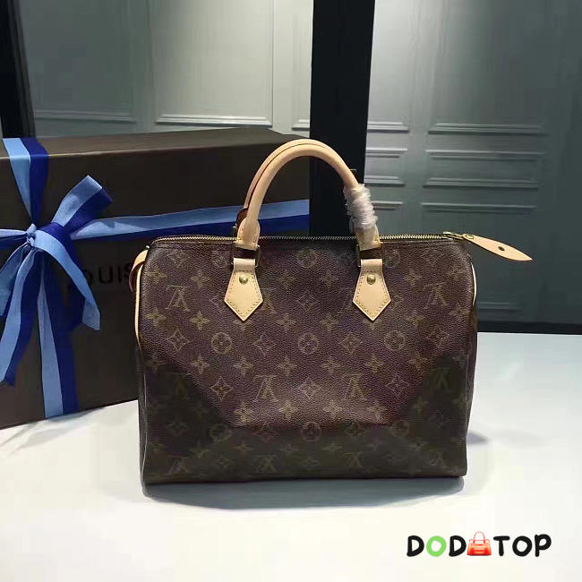 Fancybags Louis vuitton  monogram canvas speedy 35 M41107 - 1