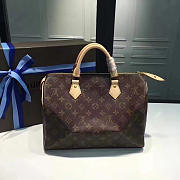 Fancybags Louis vuitton  monogram canvas speedy 35 M41107 - 1