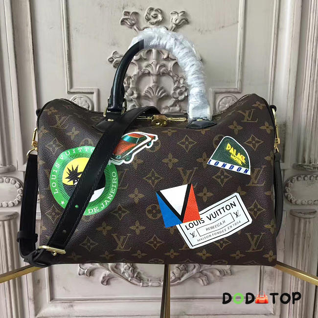 Fancybags Louis Vuitton Speedy 30  5754 - 1