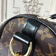 Fancybags Louis Vuitton Speedy 30  5754 - 2