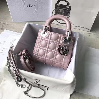 Fancybags Lady Dior mini 1555