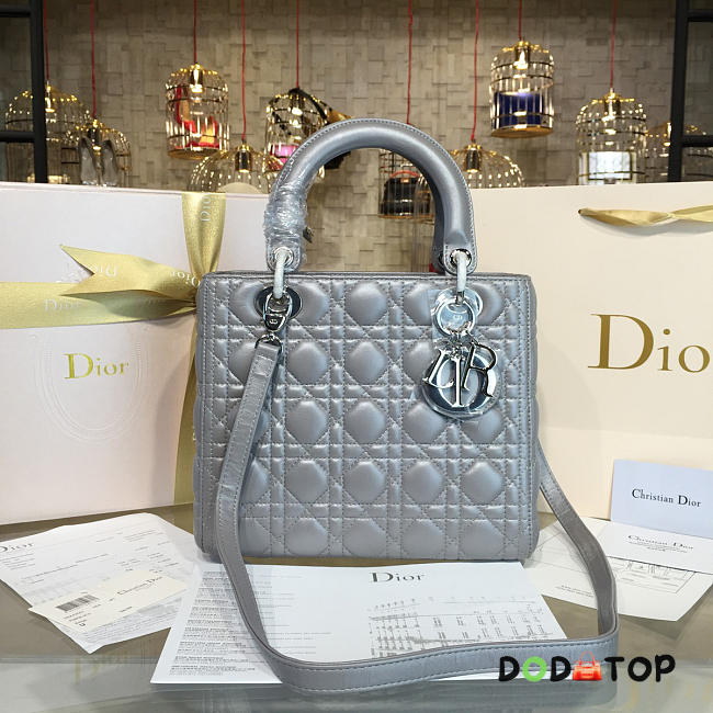 Fancybags Lady Dior 1640 - 1