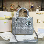 Fancybags Lady Dior 1640 - 1