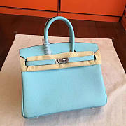 Fancybags Hermes birkin 2967 - 1