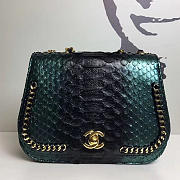 Fancybags Chanel Snake Leather Flap Shoulder Bag Green A98774 VS00273 - 1