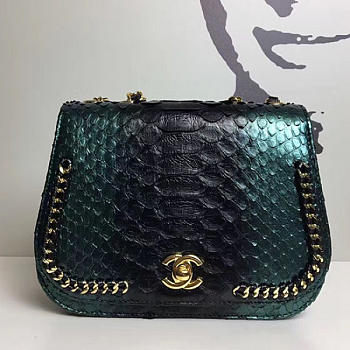 Fancybags Chanel Snake Leather Flap Shoulder Bag Green A98774 VS00273