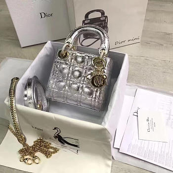 Fancybags Lady Dior mini 1561