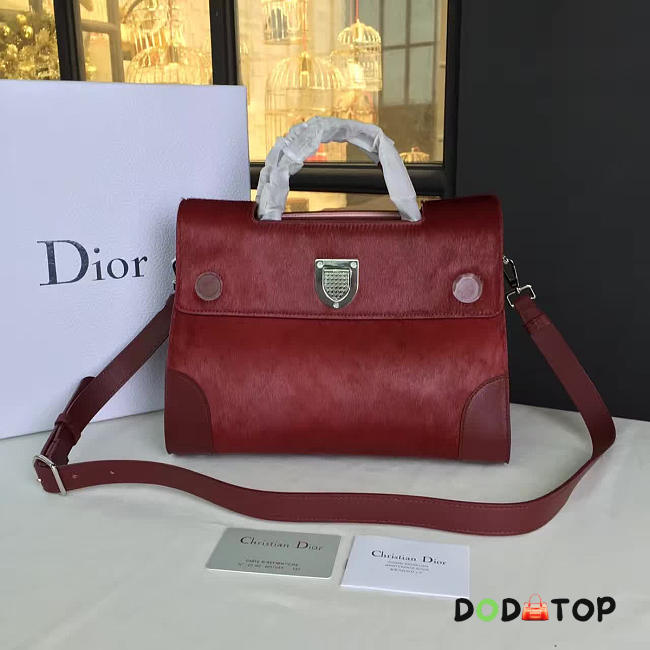 Fancybags Dior EVER 1723 - 1