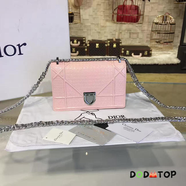 Fancybags Dior ama 1761 - 1