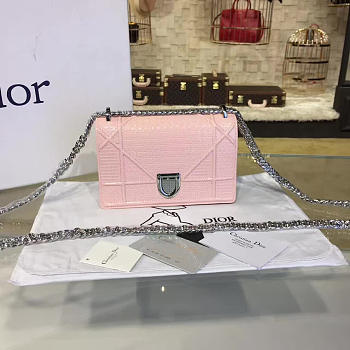 Fancybags Dior ama 1761