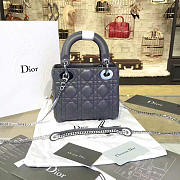 Fancybags Mini Lady Dior 1791 - 1