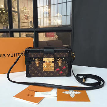 Fancybags Louis Vuitton box 5733