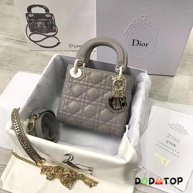 Fancybags Lady Dior mini 1568 - 1