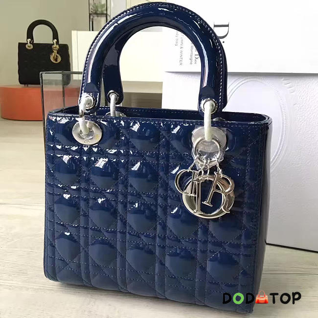 Fancybags Lady Dior 1601 - 1