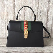 Fancybags Gucci Sylvie 2146 - 1