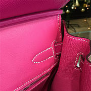 Fancybags Hermes Birkin 2773 - 3