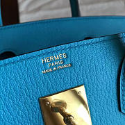 Fancybags Hermes birkin 2950 - 6