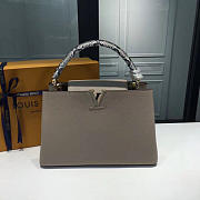 Fancybags Louis vuitton taurillon leather capucines MM M94702 light gray - 6