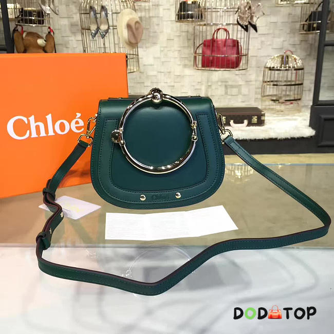 Fancybags Chloe Nile 1343 - 1