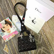 Fancybags Lady Dior 1617 - 1