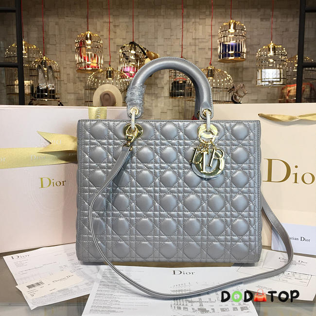 Fancybags Lady Dior 1646 - 1