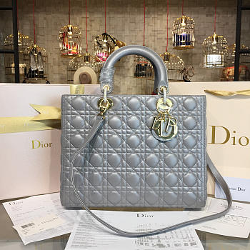 Fancybags Lady Dior 1646