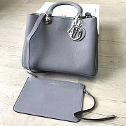 Fancybags Diorissimo 1658 - 1