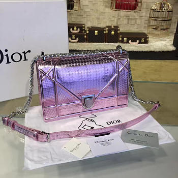 Fancybags Dior ama
