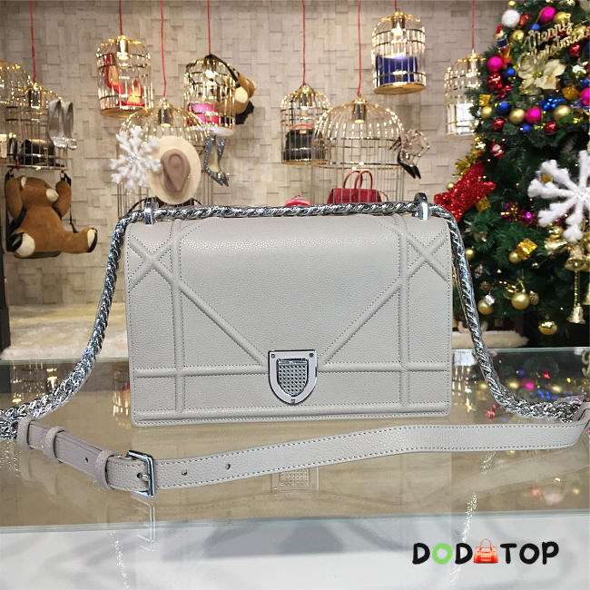 Fancybags Dior ama 1728 - 1