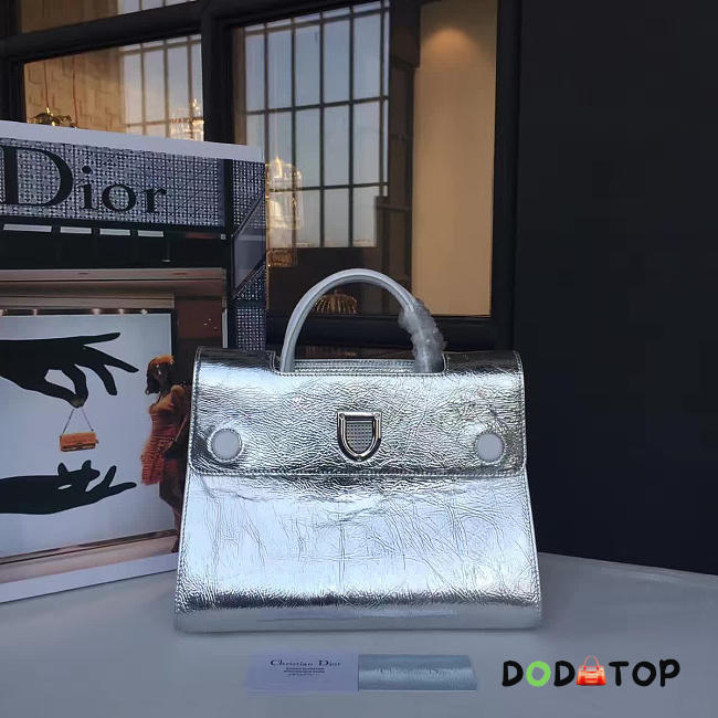 Fancybags Dior EVER 1731 - 1