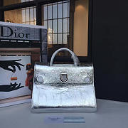 Fancybags Dior EVER 1731 - 1
