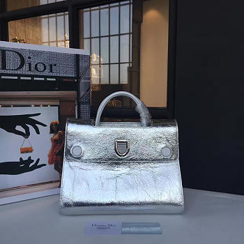 Fancybags Dior EVER 1731