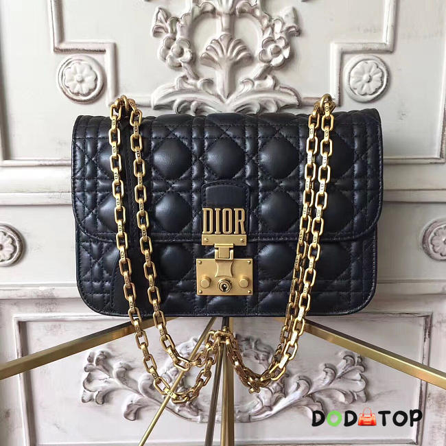 Fancybags DIORADDICT 1777 - 1