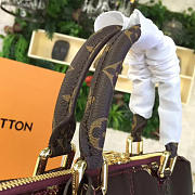 Fancybags Louis Vuitton TOTE MIROIR - 3