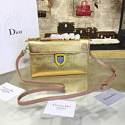 Fancybags Dior Ever 1537 - 1