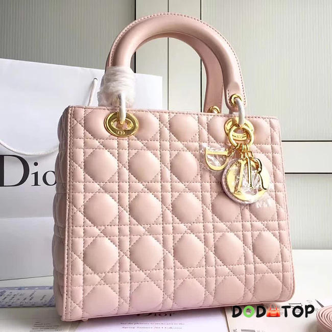 Fancybags Lady Dior 1570 - 1