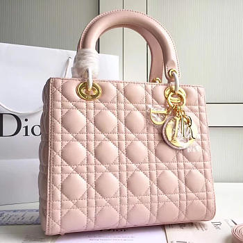 Fancybags Lady Dior 1570