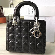 Fancybags Lady Dior 1597 - 1