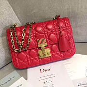 Fancybags DIORADDICT 1674 - 1