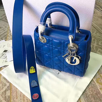 Fancybags Dior lady 1704