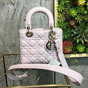 Fancybags MiNi Lady Dior 1769 - 1
