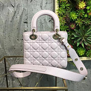 Fancybags MiNi Lady Dior 1769 - 6