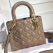 Fancybags Lady Dior 1772 - 6