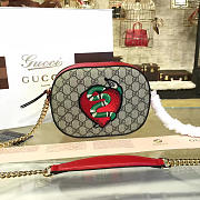 Fancybags Gucci GG Supreme mini chain bag 2217 - 1
