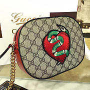 Fancybags Gucci GG Supreme mini chain bag 2217 - 6