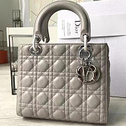 Fancybags Lady Dior 1576 - 1