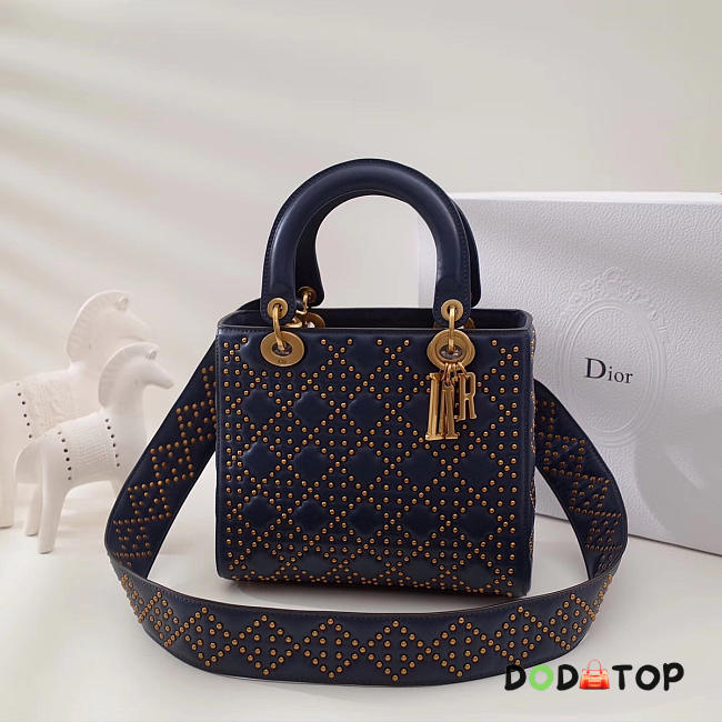 Fancybags Lady Dior 1790 - 1