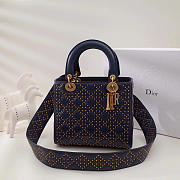 Fancybags Lady Dior 1790 - 1