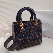 Fancybags Lady Dior 1790 - 6