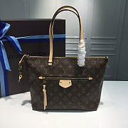 Fancybags Louis Vuitton IENA PM - 1